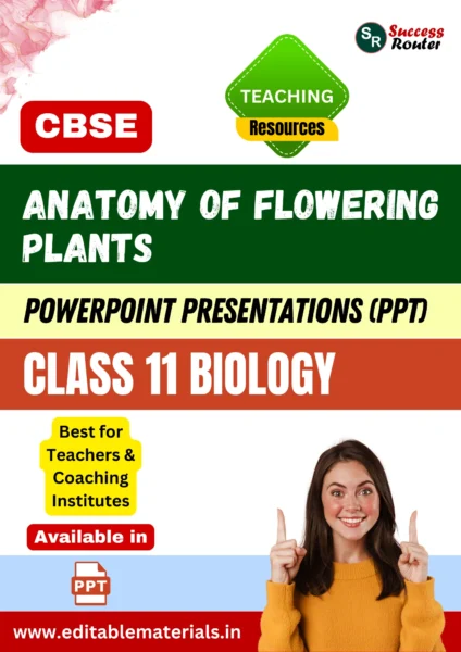 Anatomy of Flowering Plants Class 11 Biology PPT for CBSE Teachers
